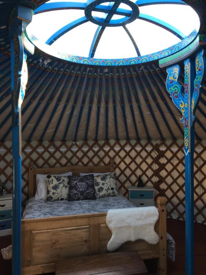 French Fields Luxury Glamping Original Mongolian Yurt Hotel Le Vieux-Cérier Kültér fotó